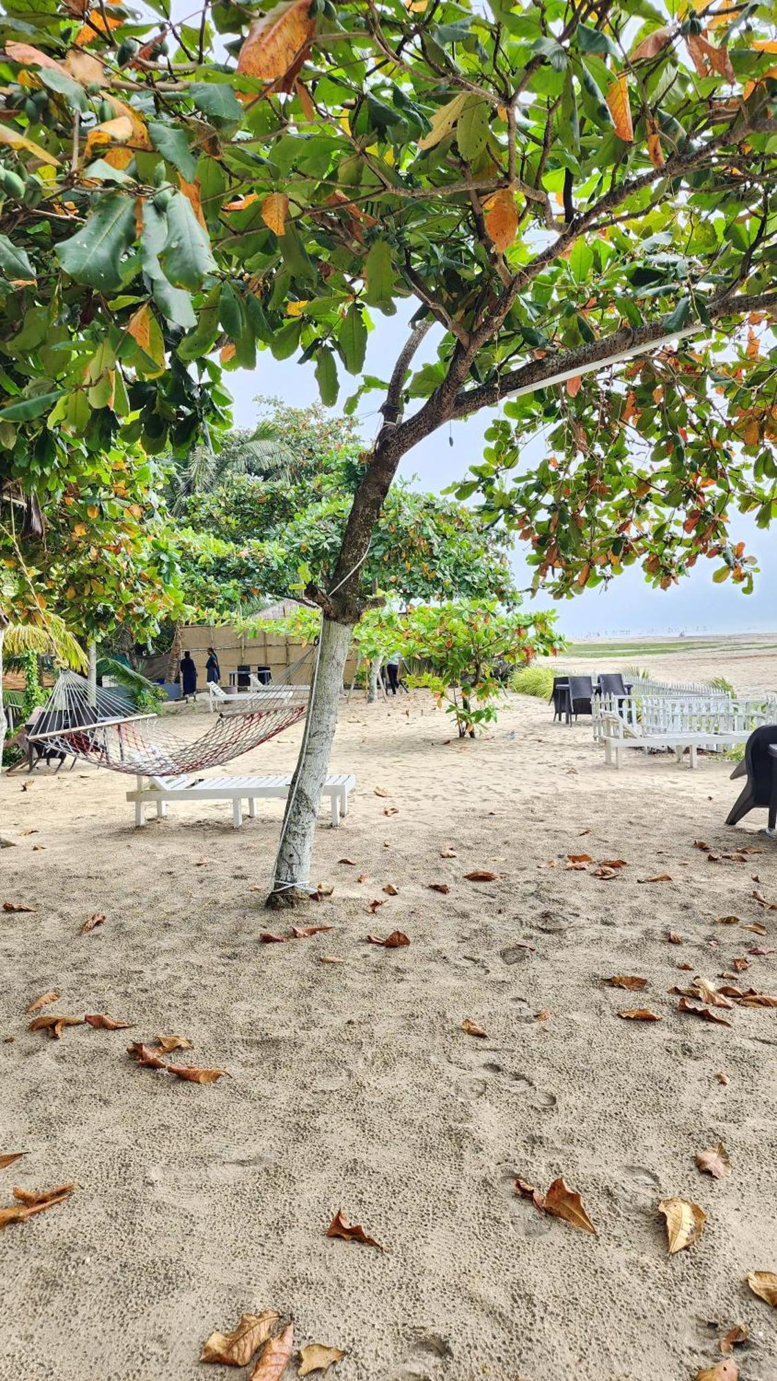 Palm Beach Resort, Alleppey Alappuzha Eksteriør bilde