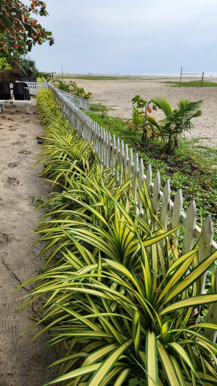 Palm Beach Resort, Alleppey Alappuzha Eksteriør bilde